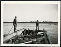 Construction of Champlain Bridge : 1st section by A. Stuart. Early 1920's cira 1924-1928.