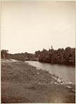 [Ottawa Region, O.I.C.] Looking West [East] - Present roadway from near Concession St. - July 1902 [graphic material] 1902