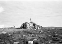 Peterussie's house CY [Clyde River] 1950