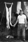 [Alex Murphy butchering a pig] 1971-1979.