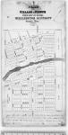 Plan of the Village of Fergus, Township of Nichol, Wellington District. Canada West. [cartographic material] 1847