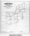 Plan of Timber Berths A.T.W. 1, 2, 3, 6, 7, 8, 9 and 10. on the Transcontinental Railway. District of Rainy River north of Dryden Sta. on C.P. Railway surveyed by O.L.S. A.T. Ward. June 20th 1907. [cartographic material] 1907