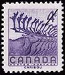 Caribou 1956