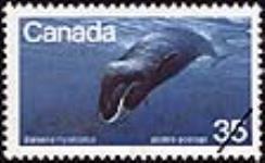 Balaena mysticetus : [Bowhead whale] [philatelic record] 1979