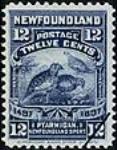 1497-1897, ptarmigan, Newfoundland sport [philatelic record] n.d.