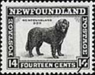 Newfoundland dog [philatelic record] 1932