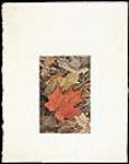 [The maple in four seasons, autumn] [graphic material] / [Designed by] Alma Duncan [1971?]