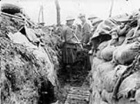 Consolidating recently-won German trench (13th Infantry Battalion). July, 1916 July, 1916