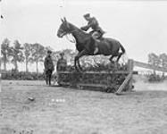 (Lieutenant Critchley) Jumping competition, Canadian Corps Horse Show, Reningelst, Belgium, July 19, 1916 July 19, 1916