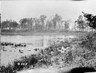 View of moat. Ypres [Belgium]. Aug. 1916 August, 1916.