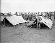 22nd Battalion bivouaced behind the line Battle of Amiens. August, 1918 August, 1918.