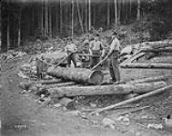 Forestry Corps at Gerardmer [France] rolling logs Feb. 1919.