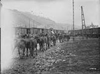 Entraining horses at Huy. March 1919 March 1919.
