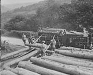 Canadian Forestry Corps at work (Windsor Park) 1914-1919