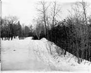 Grounds at Rideau Hall [after 1882].
