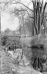 Beaver Meadow (Columbia Park) [between 1868-1923].