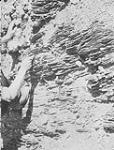 Gravel banks & bed rock - Close-up of exposed argilite bed rock showing "natural riffles", near Barkerville, B.C 1938
