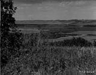 Panorama [west 1/2] Assiniboine River Valley, near Miniota, Man. 13-26-Pr