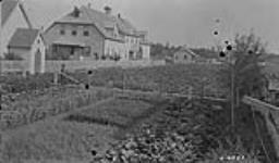 Student standing in a garden beside the Hay River Indian Residential School, Northwest Territories, August 1922 Aug. 1922
