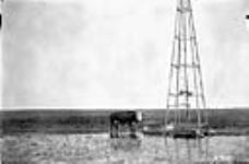 Windmill Tp. 22-8-2 [Sask.] 1923