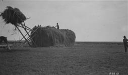 Stacking hay Tp. 38-3-5 [near Benalto Alta.] 1923 1923