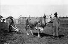 [Slave Indians plowing at Hay River post, Anglican Mission garden, N.W.T.] [1925]