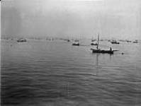 Fishing Fleet at the Mouth of the Fraser River, B.C n.d.