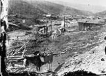 Mining in the Klondike, c. 1898 1898