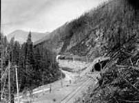 Snow Shed and Tunnel, Illecillewaet Canyon, Selkirk Mountain, B.C ca. 1890-1894.