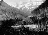 The Loop showing four tracks C.P.R. (Canadian Pacific Railway) (Selkirks) [B.C.] ca. 1890-1894.