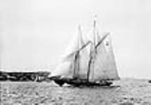 Vessel BLUENOSE under full sail 1921