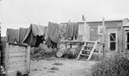 (Relief Projects - No. 20). [Airing blankets] Aug. 1935