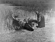 A Cowichan woman gathering Tule, a tall plant in the reed family / Une femme cowichan ramassant des scirpes, une longue plante de la famille des roseaux ca. 1913