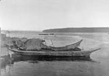 Cowichan canoes at the mouth of the Cowichan River 1913