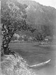 [Cowichan canoe on Cowichan River] 1913
