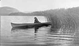 On the shores of Quamichan Lake, near Duncans, British Columbia, the Cowichan of Vancouver Island obtain their supply of tule 1913