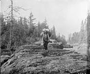 Packer on Canyon Portage, West branch of Montreal River, [Ont.], 1908