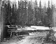 Poling canoe down rapids at Island Portage, Missinabi River, Ont., 1901