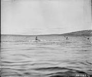 Eskimos in kyacks, Baker Lake, N.W.T 1893