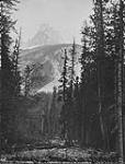 Cathedral Mountain [B.C.] 1883