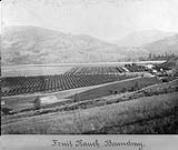 Fruit ranch, Boundary, [B.C.] n.d.