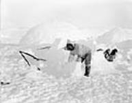 [Unidentified Inuk man building an iglu, Kangiqsujuaq, Nunavik] Original title: Eskimo constructing an igloo. Wakeham Bay, Quebec 1927.