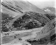 Nigel Pass, Banff National Park, [Alta.] Oct. 1927