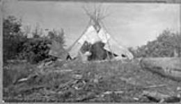 First Nations woman in front of a birch bark tipi (tepee/teepee), Albany River, ON 1905.