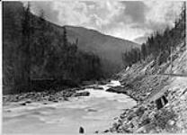 Down the Wapta [Kicking Horse] River, below Muir's Siding 1886