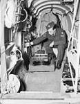 Unidentified sergeant installing a vertical camera in an Avro Anson V aircraft of No.14(P) Squadron, R.C.A.F., Rockcliffe, Ontario, Canada, 4 July 1944 04-Jul-44