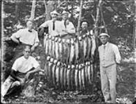 Salmon trout caught by the guests at Monteith House, Rosseau, Lake Rosseau, Muskoka Lakes, Ont., Aug. 21, 1905 1905.