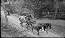 Milk wagon on hill, Don [River, Toronto, Ont.], 10 June 1917 10 June 1917