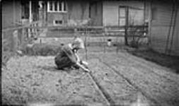 Alice [Boyd] planting seeds in the garden, 2 May, 1918 May 2, 1918.
