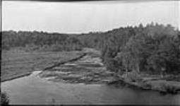 Logs on the South Muskoka River 2 July, 1918